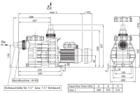 Poolpumpe OKU Aqua Plus 6 TIMER 6 m³/h - 8 m selbstansaugend